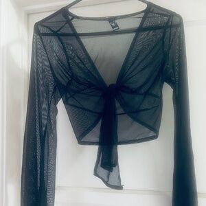 Windsor Sheer Long Sleeve Black Crop Top